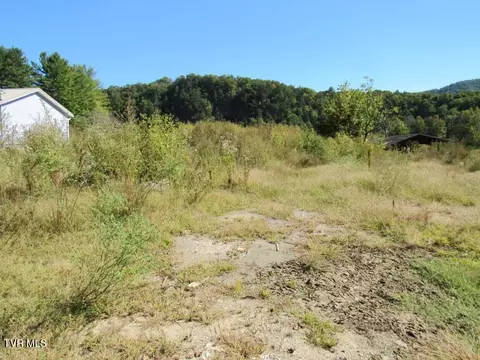 168 Bumpus Cove Road Erwin Tn 37650, Erwin, TN 37650 photo 9