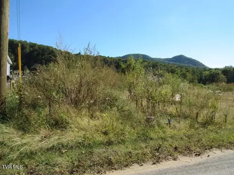 168 Bumpus Cove Road Erwin Tn 37650, Erwin, TN 37650 photo 15