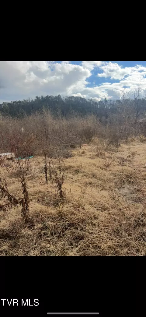 168 Bumpus Cove Road Erwin Tn 37650, Erwin, TN 37650 photo 16