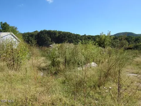 168 Bumpus Cove Road Erwin Tn 37650, Erwin, TN 37650 photo 6