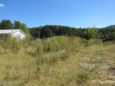 168 Bumpus Cove Road Erwin Tn 37650, Erwin, TN 37650 photo 14