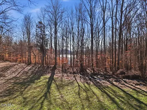 141 Red Cloud Lane Rutledge Tn 37861, Rutledge, TN 37861