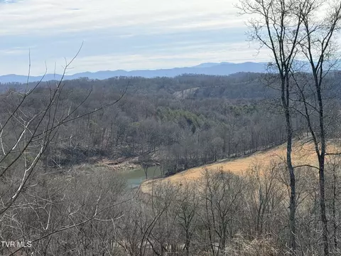 13 94 Acre Fish Hatchery Road Mohawk Tn 37810, Mohawk, TN 37810 photo 5
