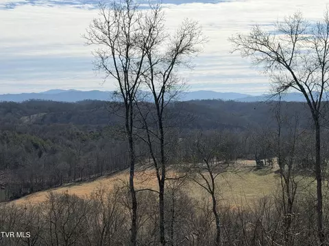 13 94 Acre Fish Hatchery Road Mohawk Tn 37810, Mohawk, TN 37810 photo 6