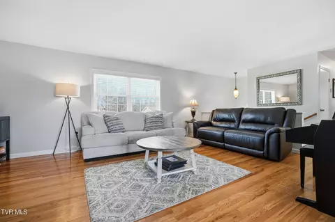 Living - 233 Mark Drive Gray Tn 37615, Gray, TN 37615 photo 3 of 3