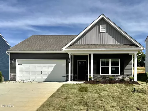 210 Artist Avenue Johnson City Tn 37615, Johnson City, TN 37615