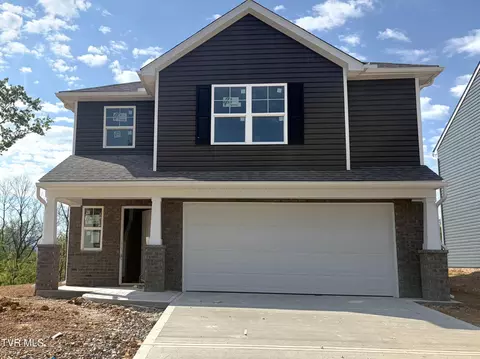 1003 Persimmon Hollow Greeneville Tn 37745, Greeneville, TN 37745