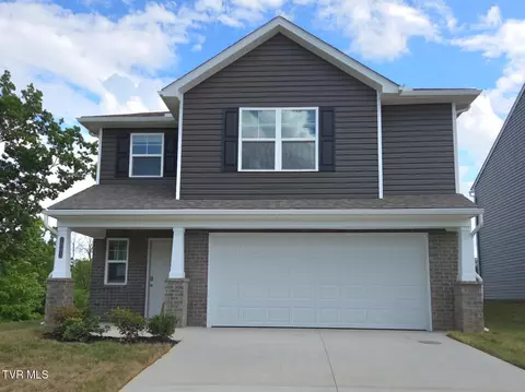 1003 Persimmon Hollow Greeneville Tn 37745, Greeneville, TN 37745