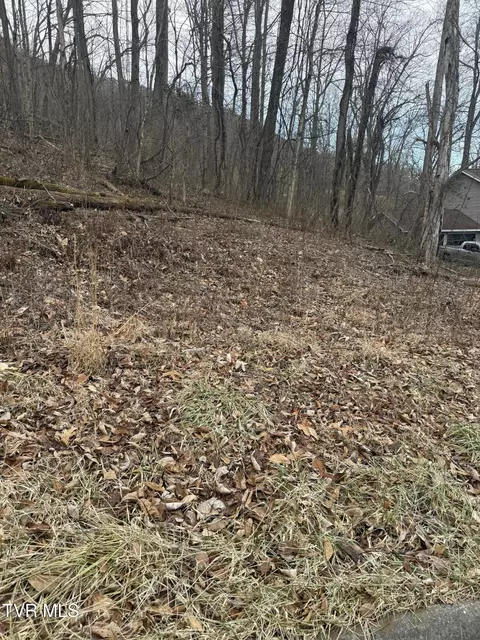 2016 Queensbury Court Kingsport Tn 37660, Kingsport, TN 37660