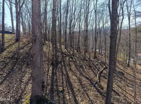 tbd Grove Park Drive Bristol Tn 37620, Bristol, TN 37620