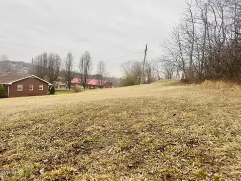 108 Ingram Street Elizabethton Tn 37643, Elizabethton, TN 37643