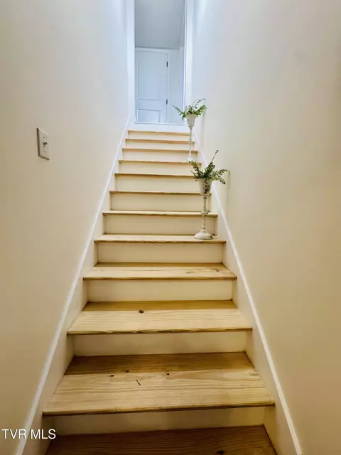 Entry Way - 610 Washington Street Erwin Tn 37650, Erwin, TN 37650 photo 1 of 2