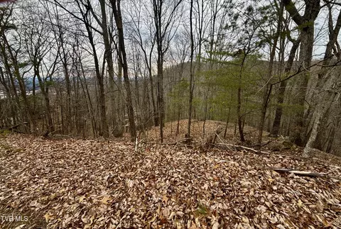 7 Ac Pinnacle Point Lot 219 Mooresburg Tn 37811, Mooresburg, TN 37811