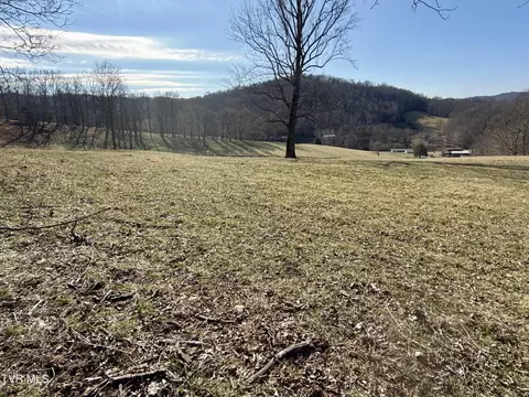 Other - 219 Ridge Road Eidson Tn 37731, Eidson, TN 37731 photo 24 of 31