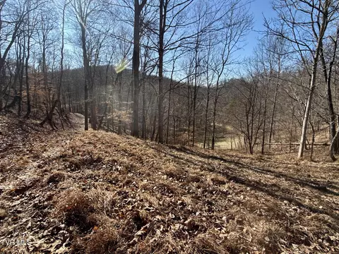 Other - 219 Ridge Road Eidson Tn 37731, Eidson, TN 37731 photo 26 of 31