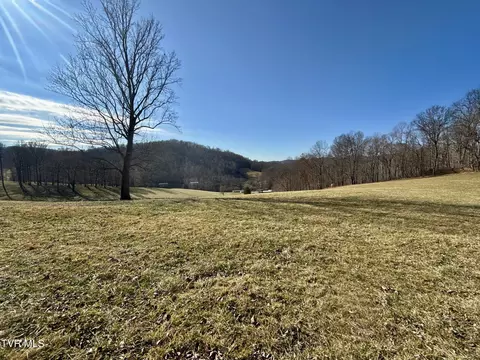 Other - 219 Ridge Road Eidson Tn 37731, Eidson, TN 37731 photo 18 of 31