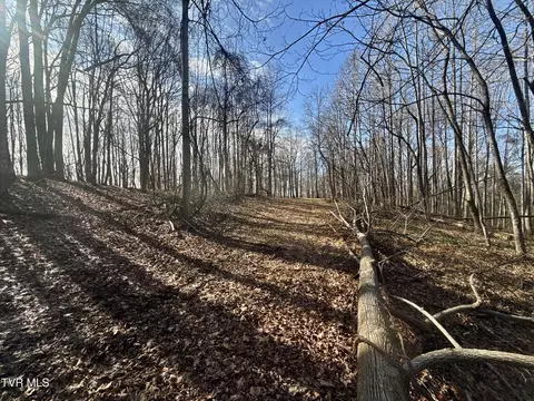 Other - 219 Ridge Road Eidson Tn 37731, Eidson, TN 37731 photo 16 of 31