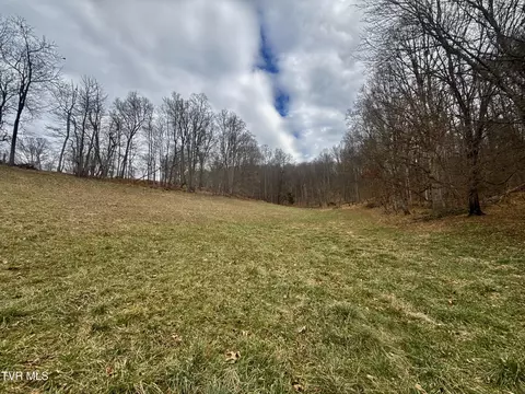 Exterior - 219 Ridge Road Eidson Tn 37731, Eidson, TN 37731 photo 12 of 26
