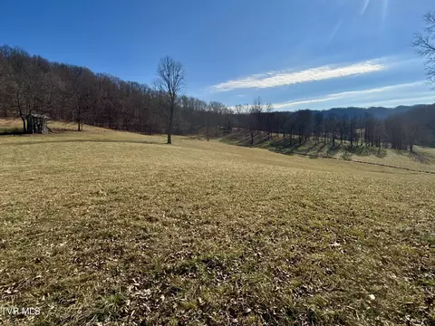 Exterior - 219 Ridge Road Eidson Tn 37731, Eidson, TN 37731 photo 21 of 26
