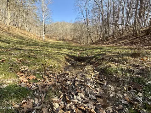 Other - 219 Ridge Road Eidson Tn 37731, Eidson, TN 37731 photo 20 of 31