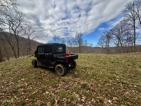 Other - 219 Ridge Road Eidson Tn 37731, Eidson, TN 37731 photo 15 of 31