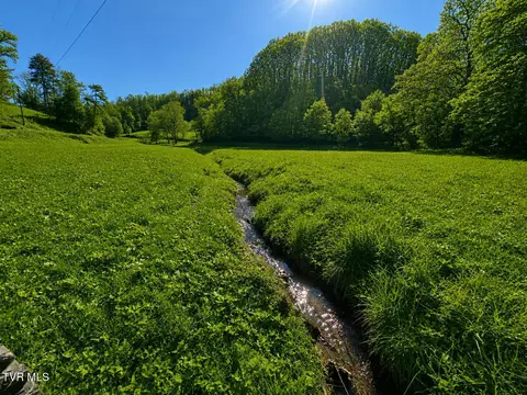 Other - 219 Ridge Road Eidson Tn 37731, Eidson, TN 37731 photo 5 of 31