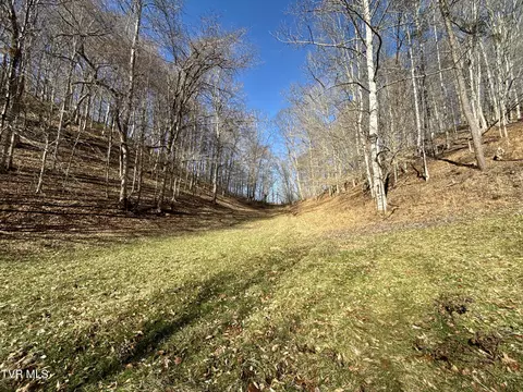 Other - 219 Ridge Road Eidson Tn 37731, Eidson, TN 37731 photo 27 of 31