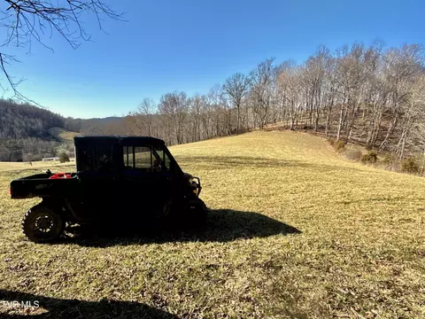 Other - 219 Ridge Road Eidson Tn 37731, Eidson, TN 37731 photo 22 of 31