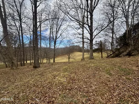 Other - 219 Ridge Road Eidson Tn 37731, Eidson, TN 37731 photo 13 of 31