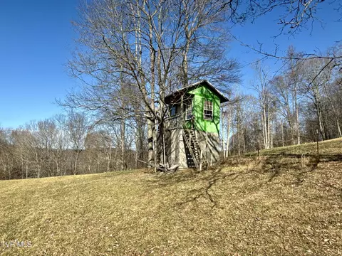 Exterior - 219 Ridge Road Eidson Tn 37731, Eidson, TN 37731 photo 17 of 26