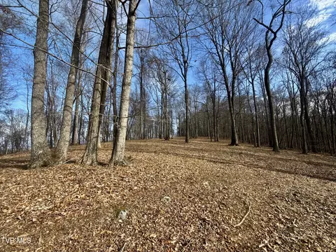 Exterior - 219 Ridge Road Eidson Tn 37731, Eidson, TN 37731 photo 15 of 26
