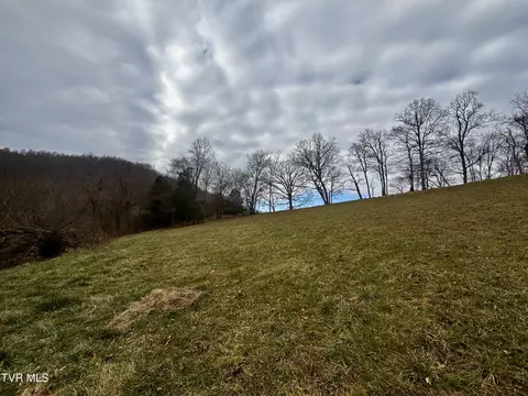 Exterior - 219 Ridge Road Eidson Tn 37731, Eidson, TN 37731 photo 13 of 26
