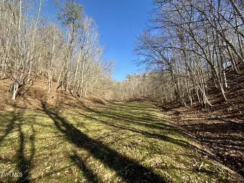 Exterior - 219 Ridge Road Eidson Tn 37731, Eidson, TN 37731 photo 26 of 26