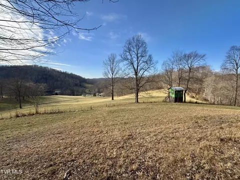 Other - 219 Ridge Road Eidson Tn 37731, Eidson, TN 37731 photo 2 of 31