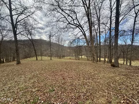 Other - 219 Ridge Road Eidson Tn 37731, Eidson, TN 37731 photo 14 of 31