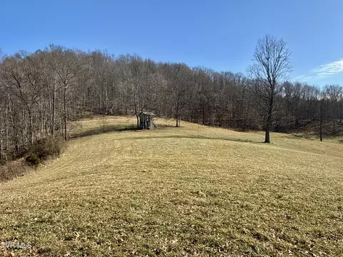 Other - 219 Ridge Road Eidson Tn 37731, Eidson, TN 37731 photo 25 of 31