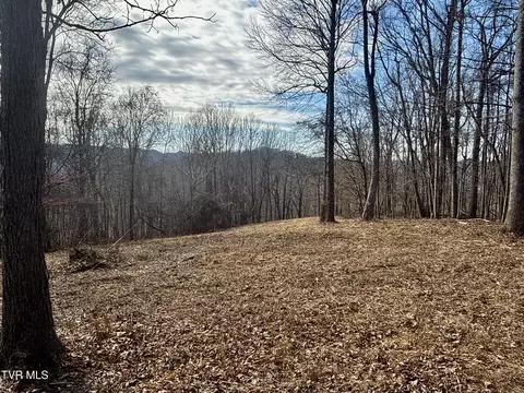 Exterior - 219 Ridge Road Eidson Tn 37731, Eidson, TN 37731 photo 14 of 26