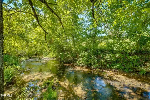 Other - 399 Carson Creek Road Limestone Tn 37681, Limestone, TN 37681 photo 24 of 24