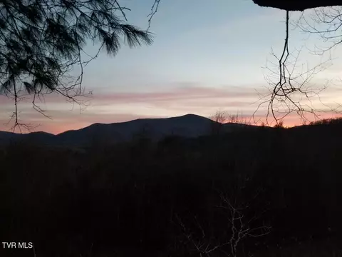 tbd Bear Branch Road Roan Mountain Tn 37687, Roan Mountain, TN 37687
