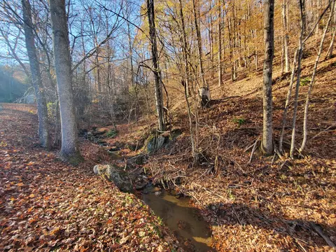 00 Ingram Branch Road Roan Mountain Tn 37687, Roan Mountain, TN 37687