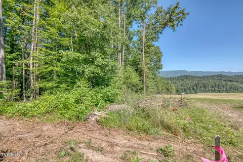 tbd Sink Valley Road Butler Tn 37640, Butler, TN 37640