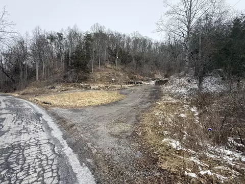 29188 Chestnut Ridge Road Meadowview Va 24361, Meadowview, VA 24361