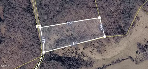 29188 Chestnut Ridge Road Meadowview Va 24361, Meadowview, VA 24361