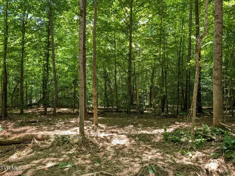 lot2 Butcher Valley Road Rogersville Tn 37857, Rogersville, TN 37857
