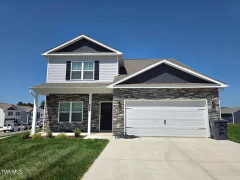 102 Mint Court Bluff City Tn 37618, Bluff City, TN 37618