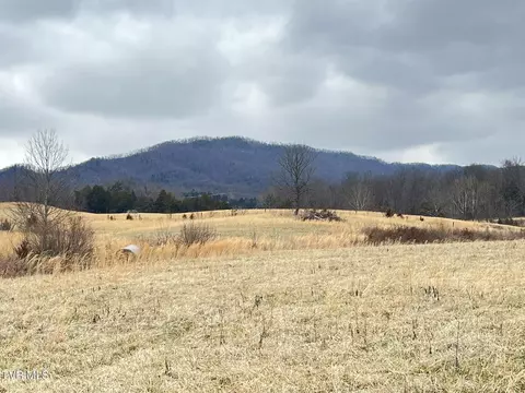 tbd Brake Tree Lane Greeneville Tn 37745, Greeneville, TN 37745