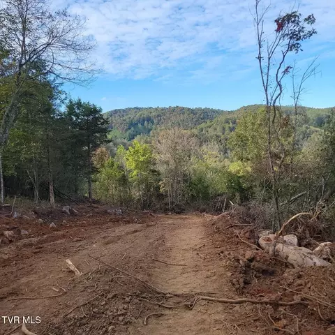 0 Copper Creek Road Duffield Va 24244, Duffield, VA 24244 photo 2