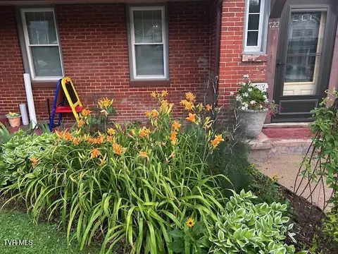 Exterior - 722 Lawrence Avenue Bristol Va 24201, Bristol, VA 24201 photo 23 of 23