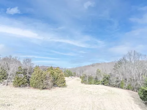 tbd Pitt Loop Chuckey Tn 37641, Chuckey, TN 37641 photo 5