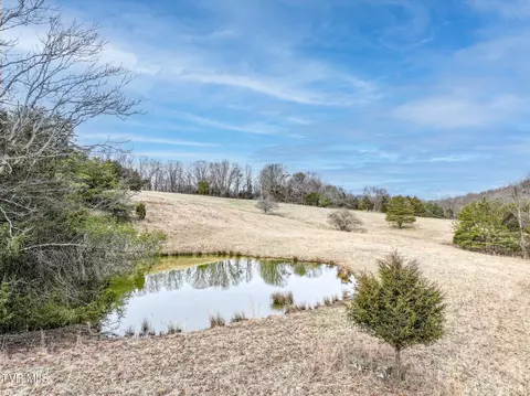 tbd Pitt Loop Chuckey Tn 37641, Chuckey, TN 37641 photo 4